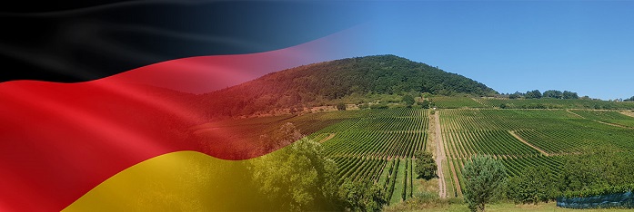 Niemieckie wina