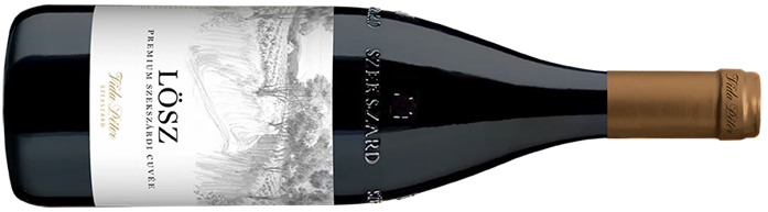 Vida Peter Lösz Szekszárd 2022